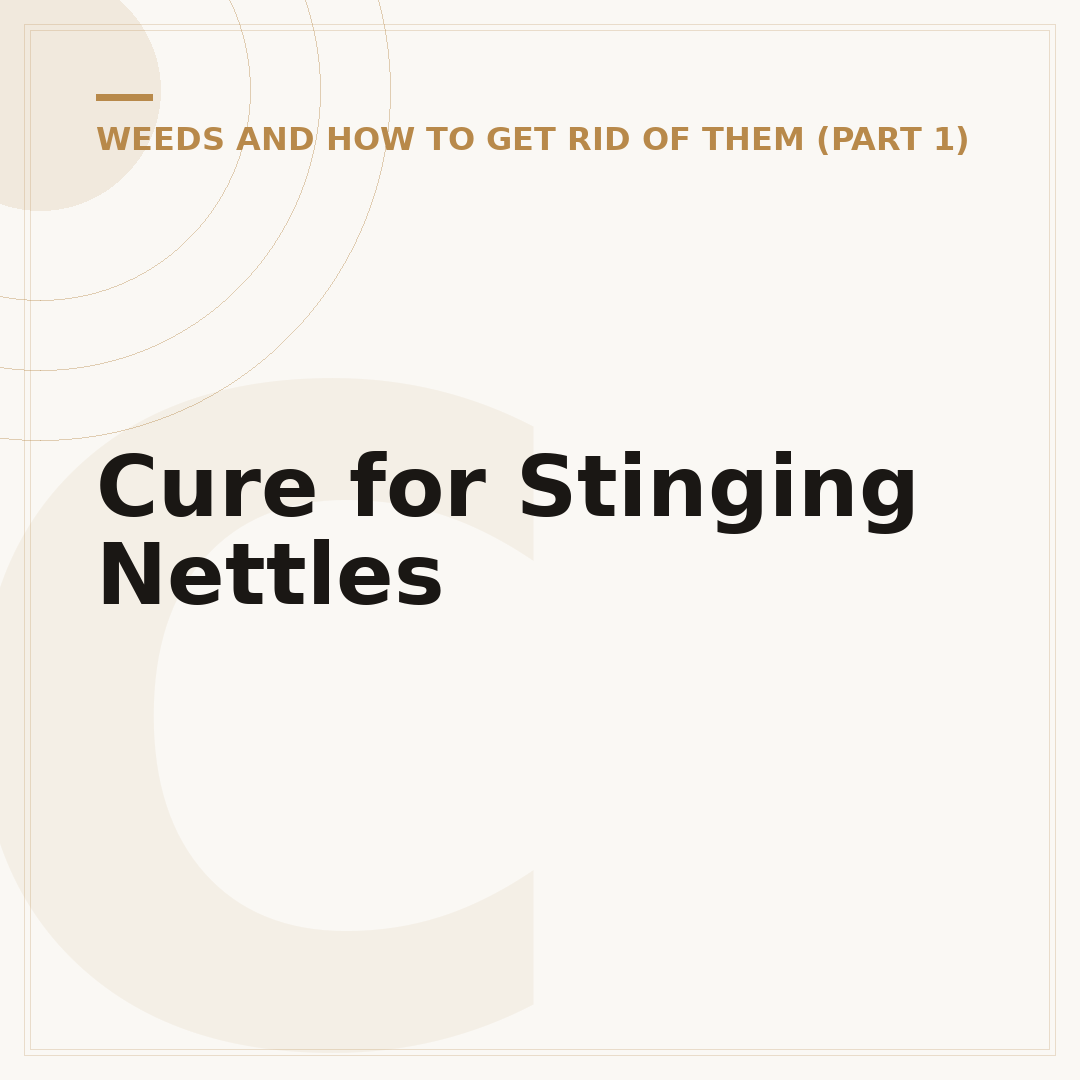 Cure for Stinging Nettles