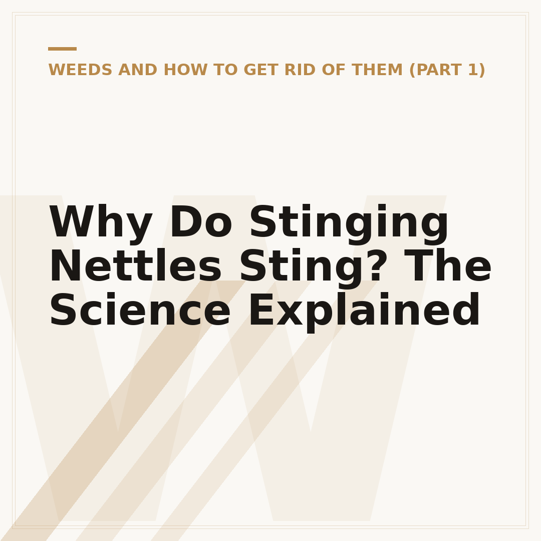 Why Do Stinging Nettles Sting? The Science Explained