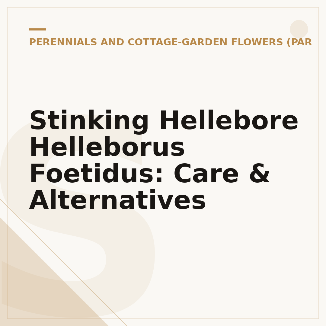 Stinking Hellebore Helleborus Foetidus: Care & Alternatives