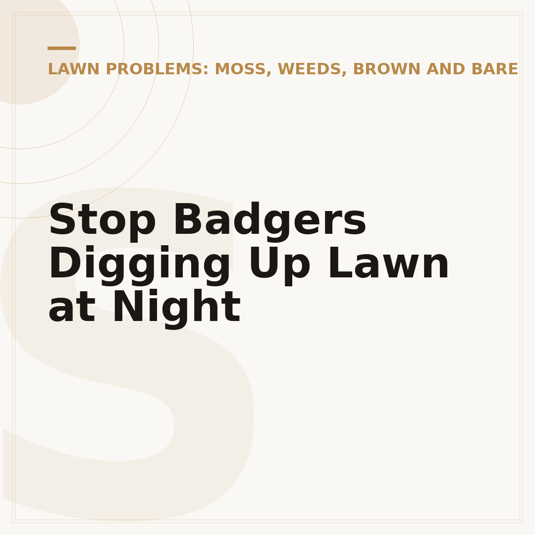 Stop Badgers Digging Up Lawn at Night