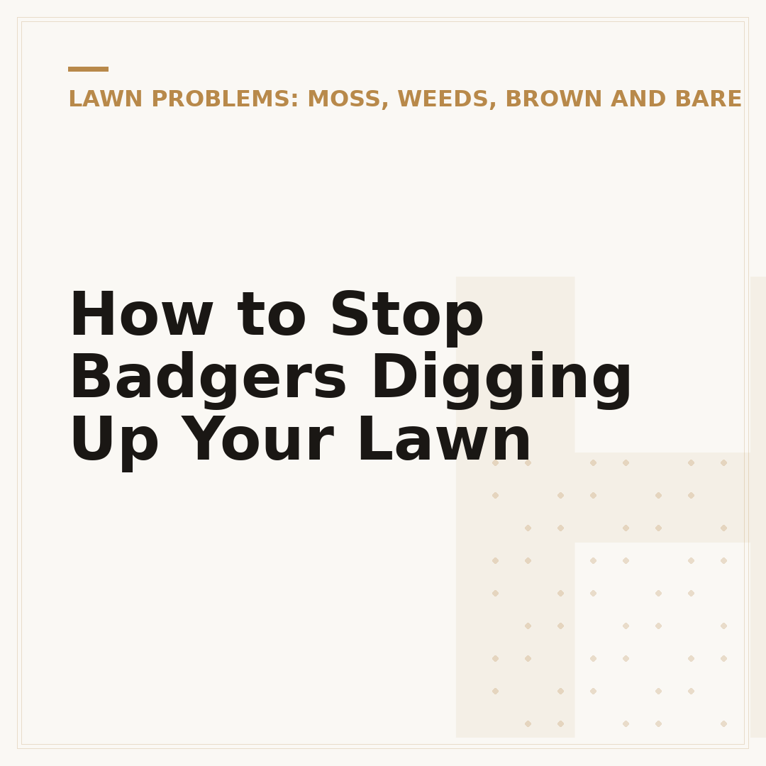 How to Stop Badgers Digging Up Your Lawn