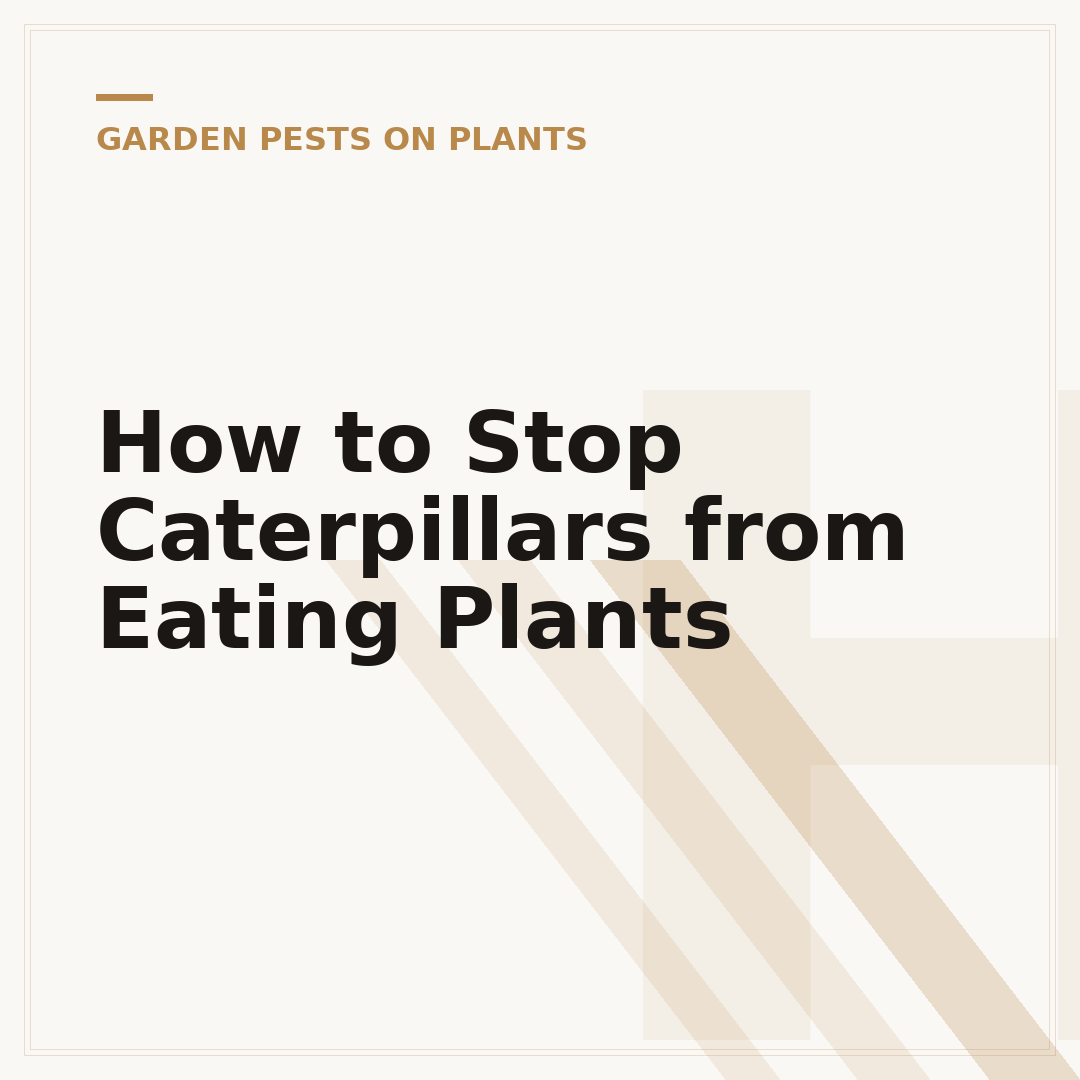 How to Stop Caterpillars from Eating Plants