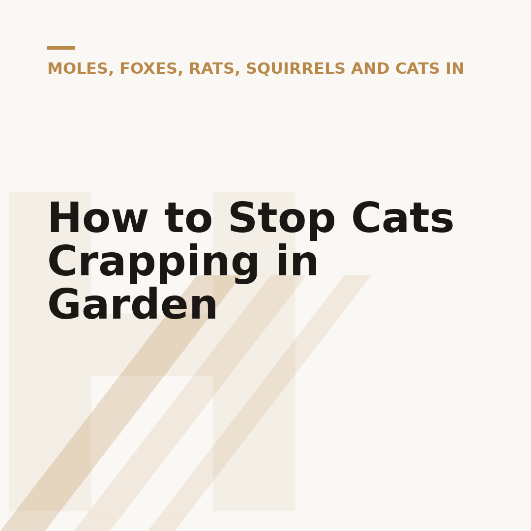 How to Stop Cats Crapping in Garden