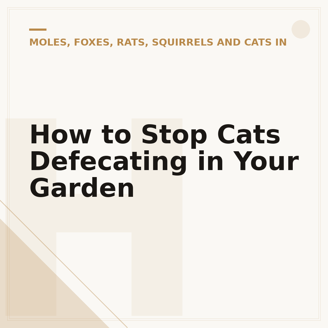 How to Stop Cats Defecating in Your Garden
