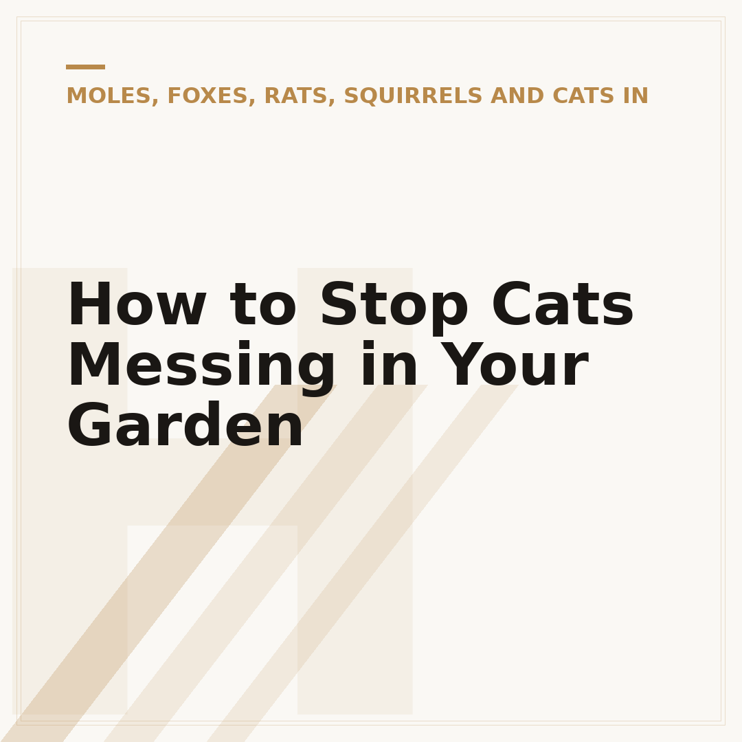 How to Stop Cats Messing in Your Garden