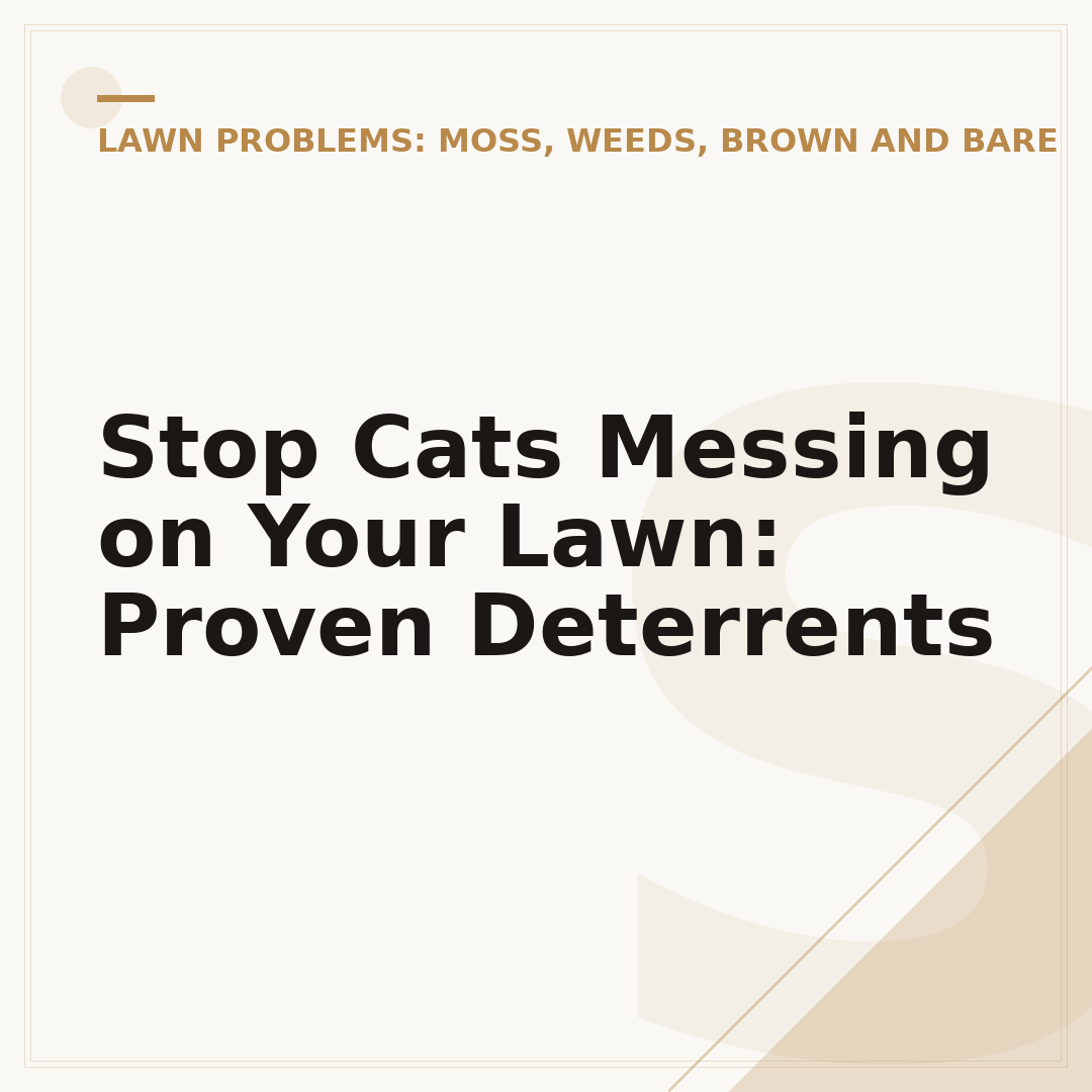 Stop Cats Messing on Your Lawn: Proven Deterrents