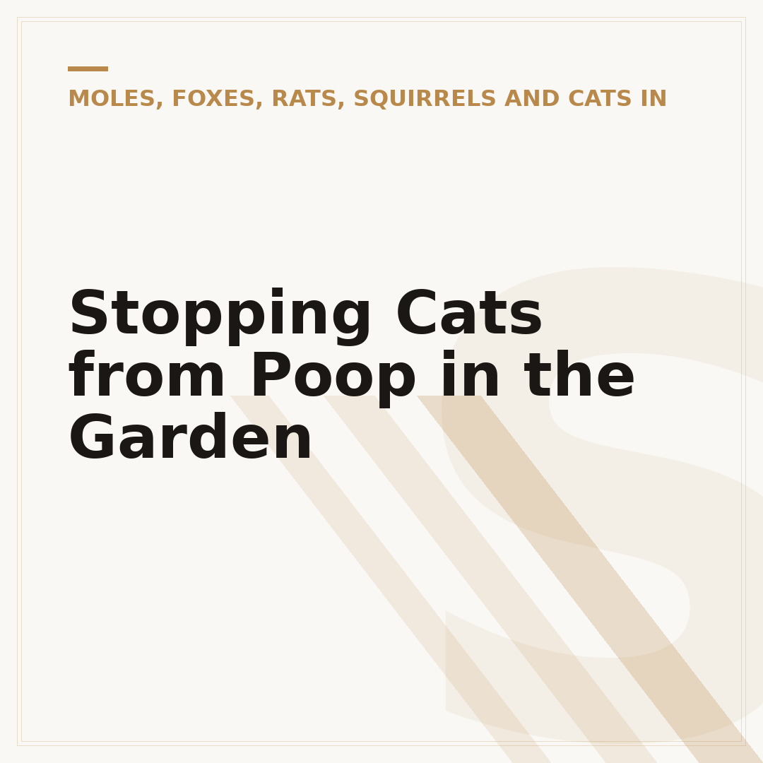 Stopping Cats from Poop in the Garden