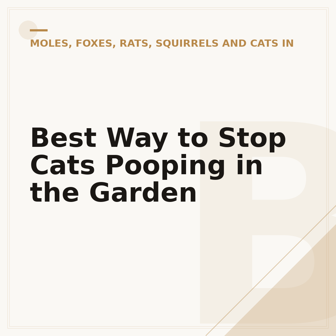 Best Way to Stop Cats Pooping in the Garden