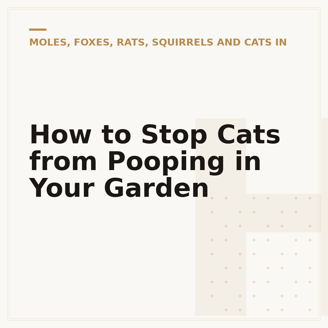 How to Stop Cats from Pooping in Your Garden