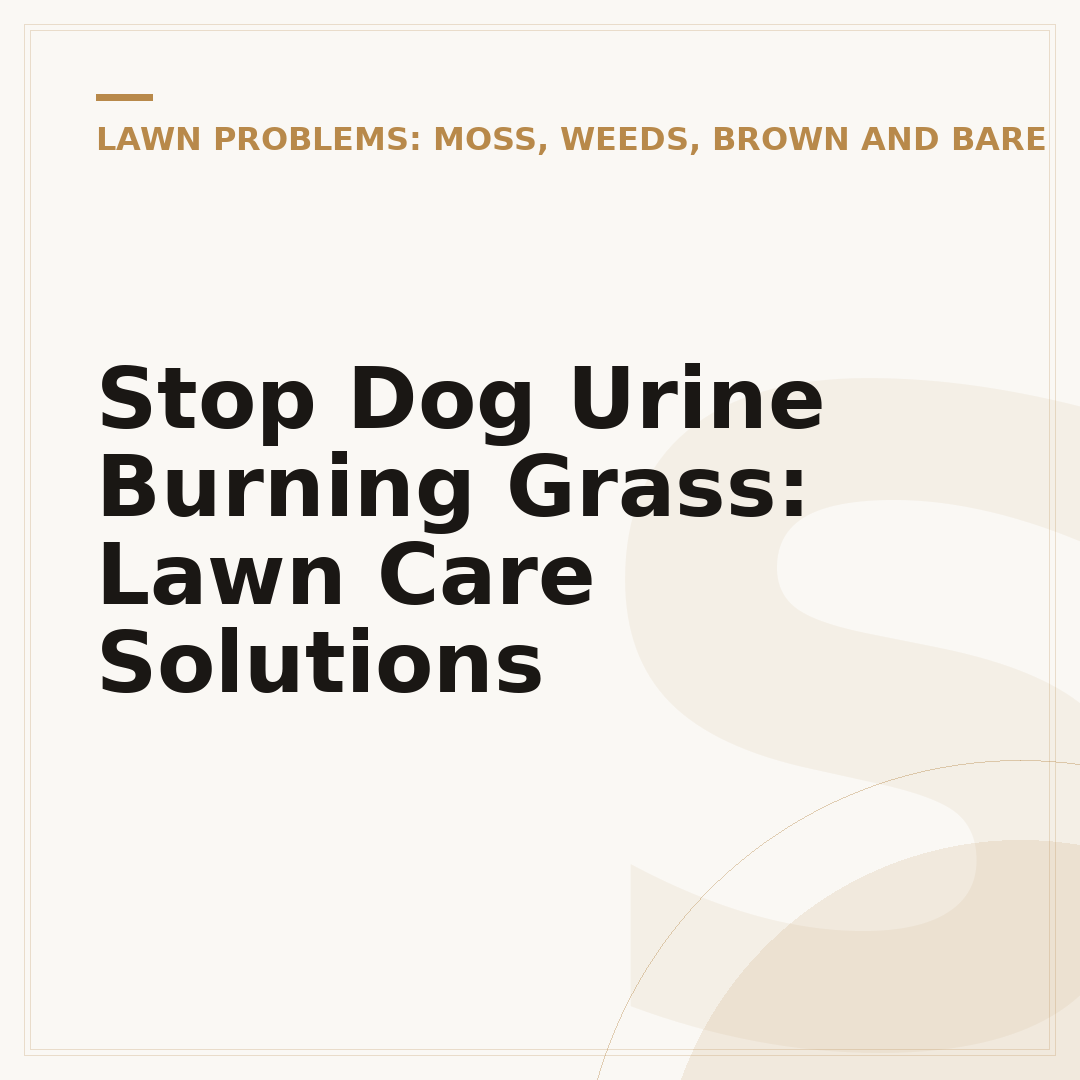 Stop Dog Urine Burning Grass: Lawn Care Solutions