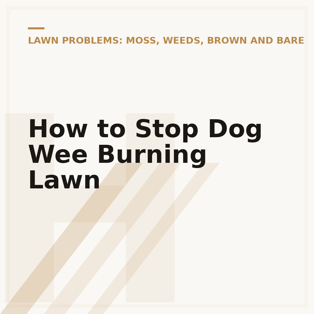 How to Stop Dog Wee Burning Lawn