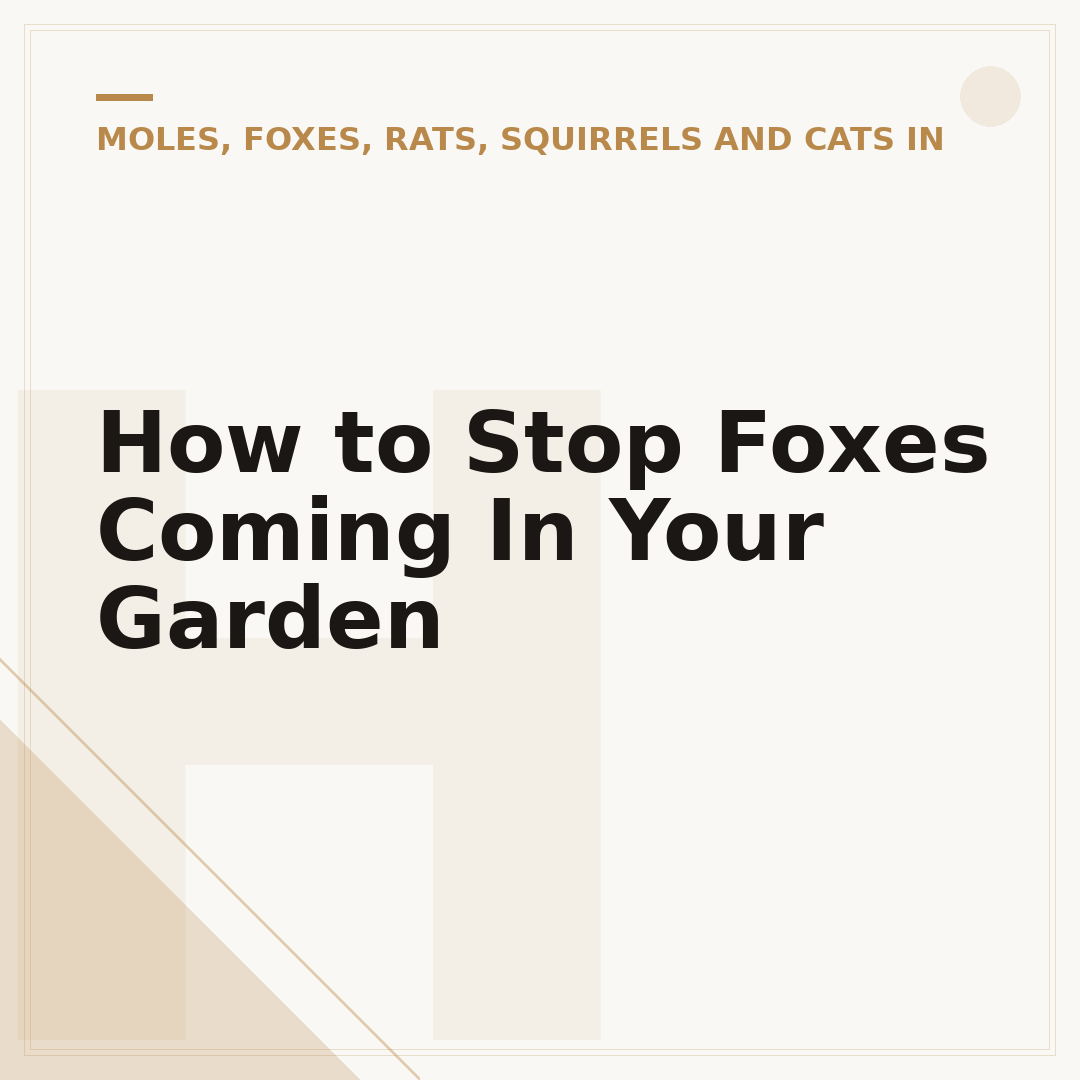 How to Stop Foxes Coming In Your Garden