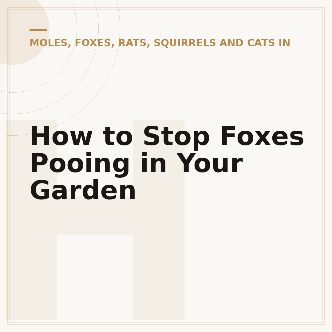 How to Stop Foxes Pooing in Your Garden
