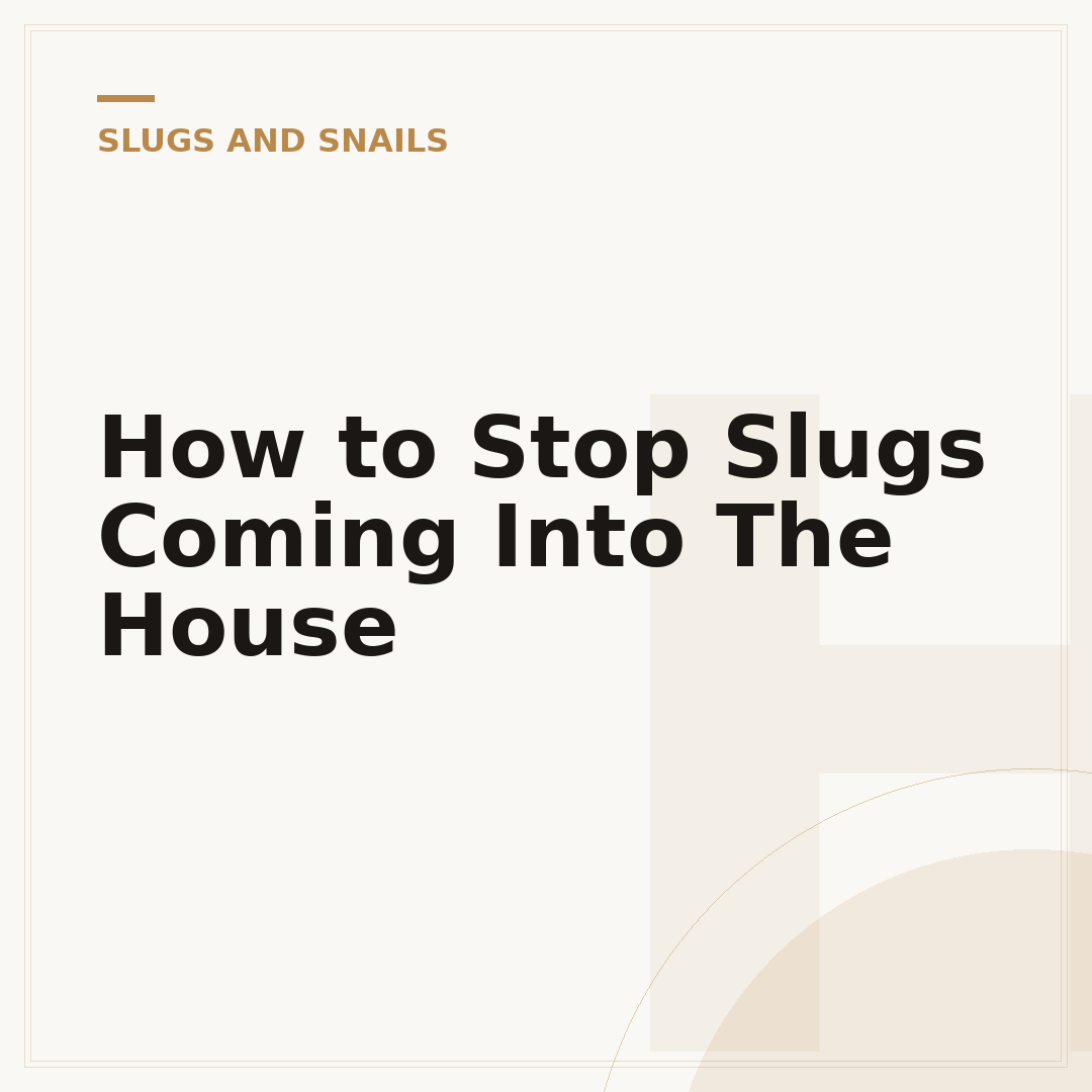 How to Stop Slugs Coming Into The House