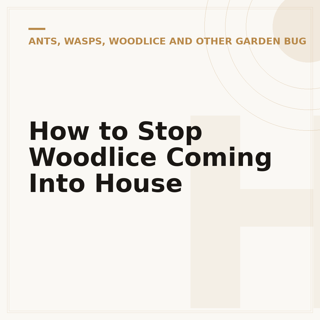 How to Stop Woodlice Coming Into House