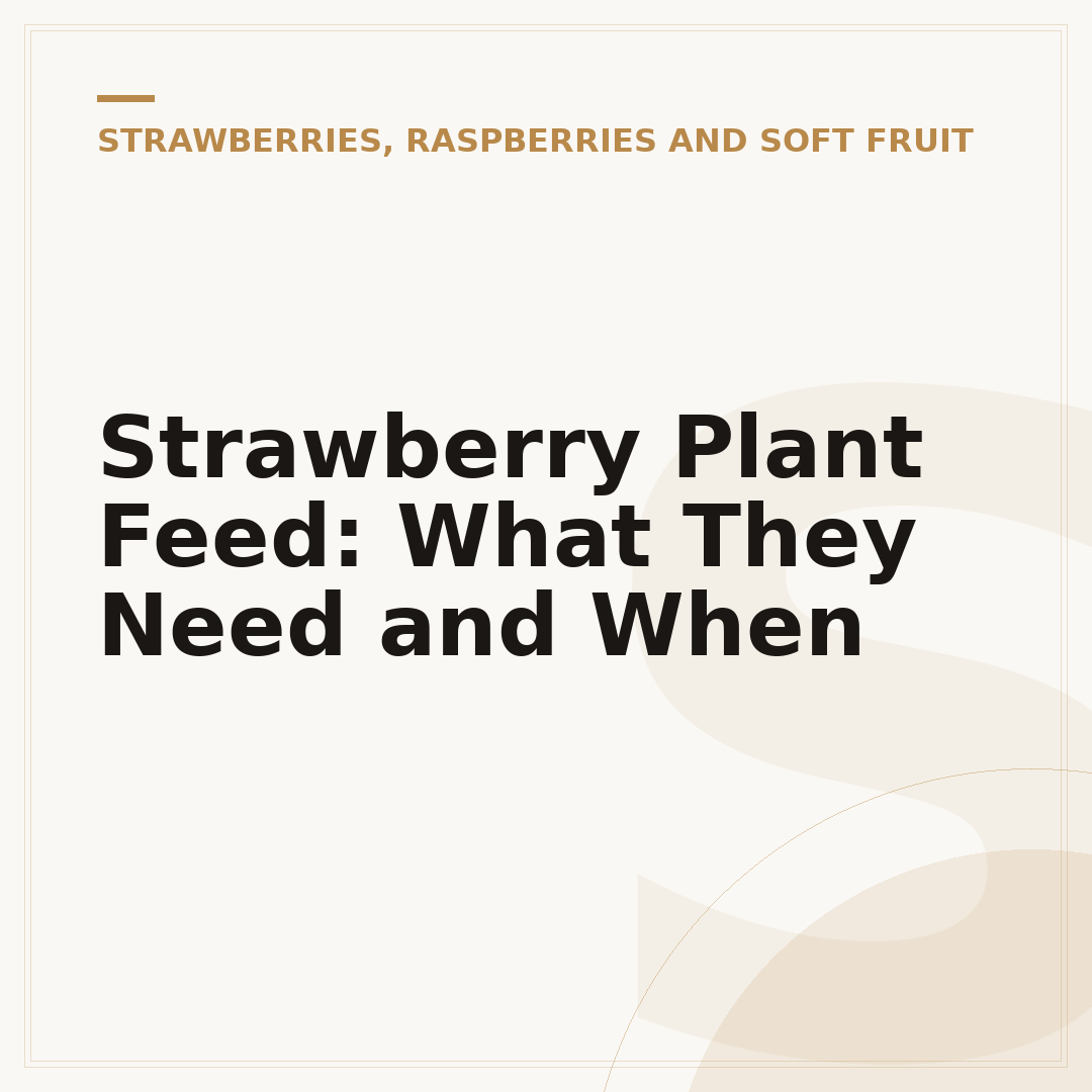 Strawberry Plant Feed: What They Need and When