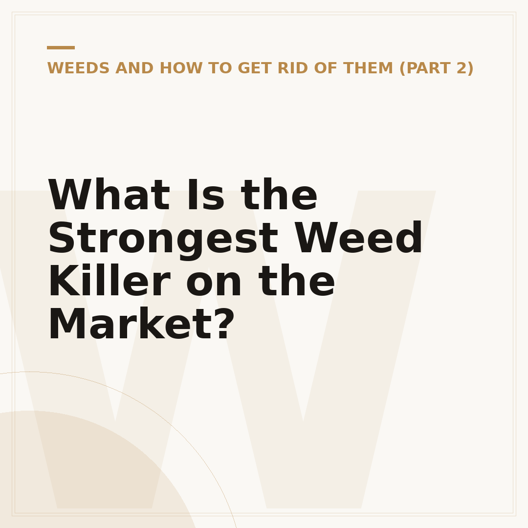 What Is the Strongest Weed Killer on the Market?