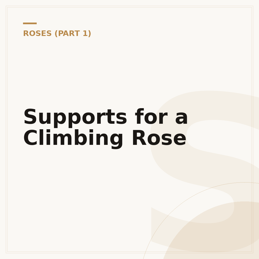 Supports for a Climbing Rose