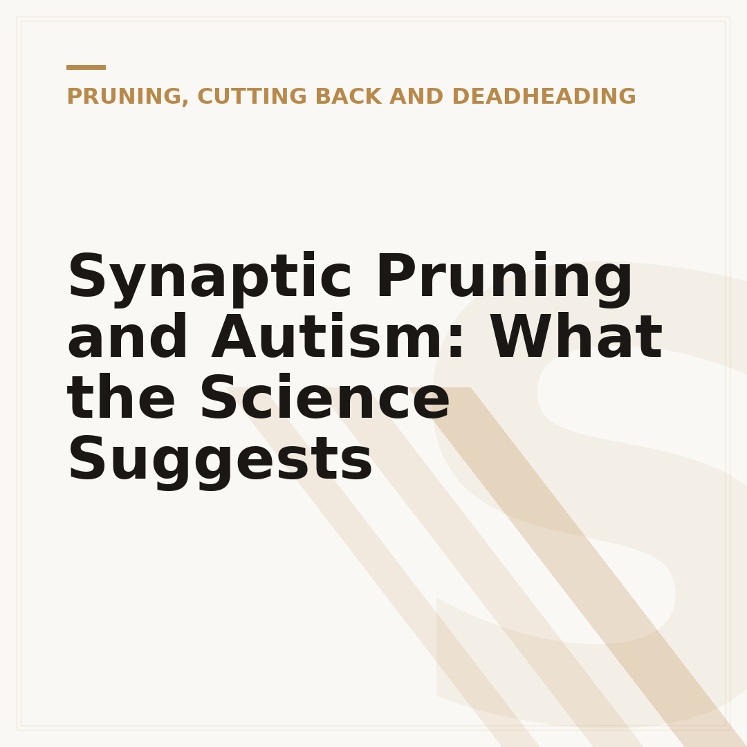 Synaptic Pruning and Autism: What the Science Suggests