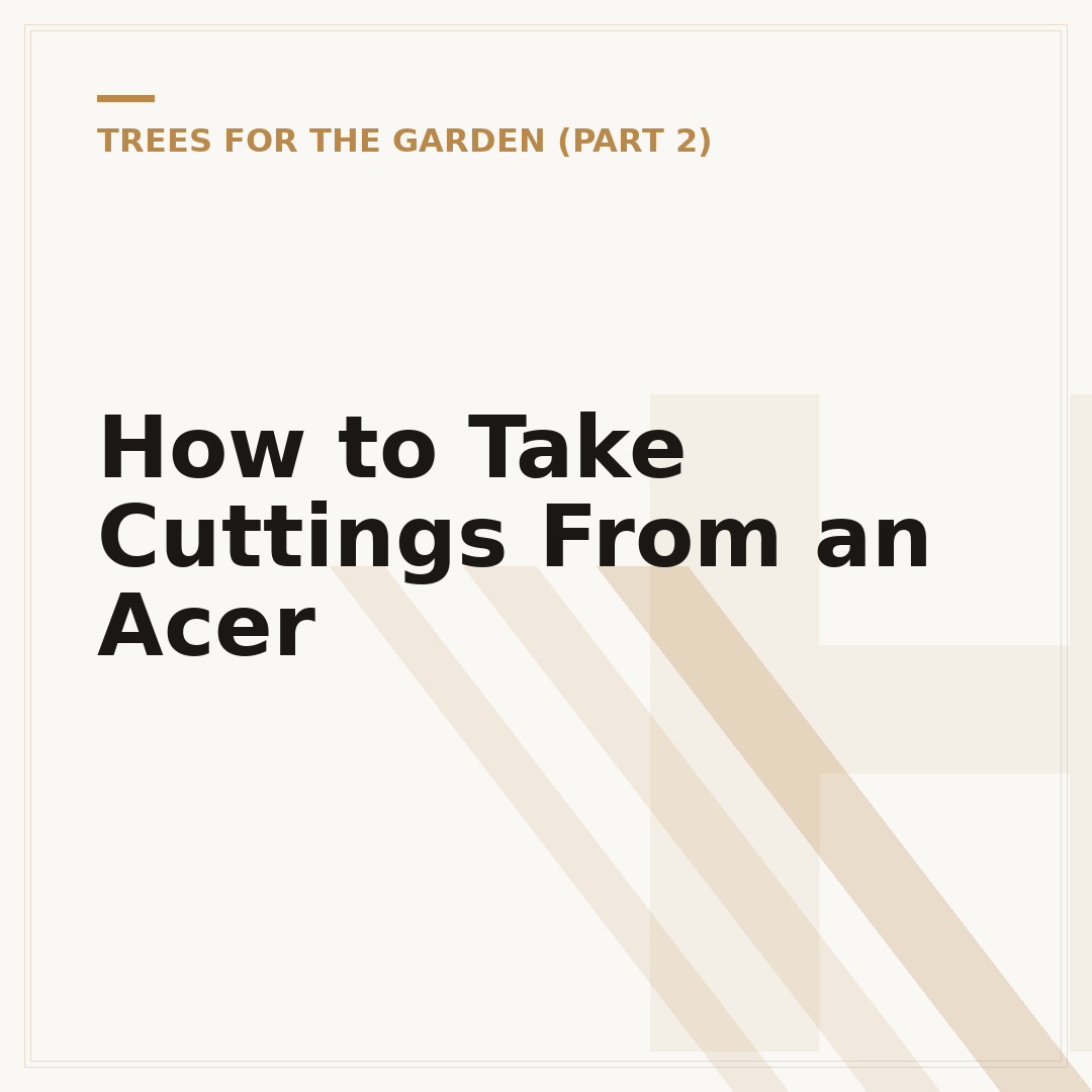 How to Take Cuttings From an Acer