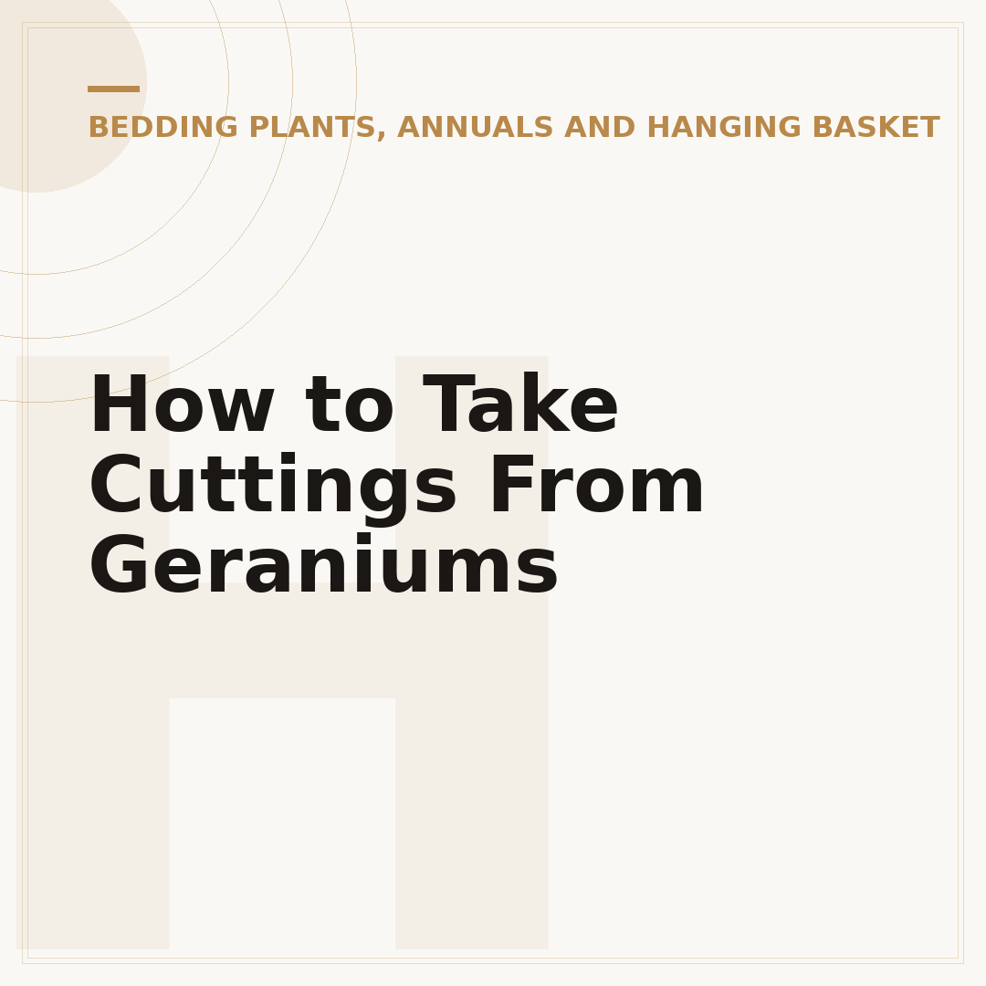 How to Take Cuttings From Geraniums