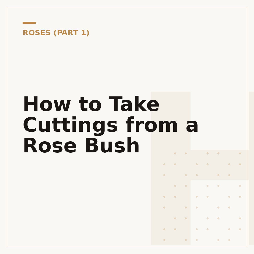 How to Take Cuttings from a Rose Bush