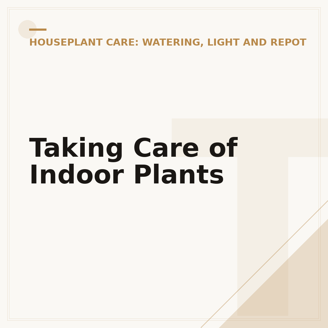 Taking Care of Indoor Plants