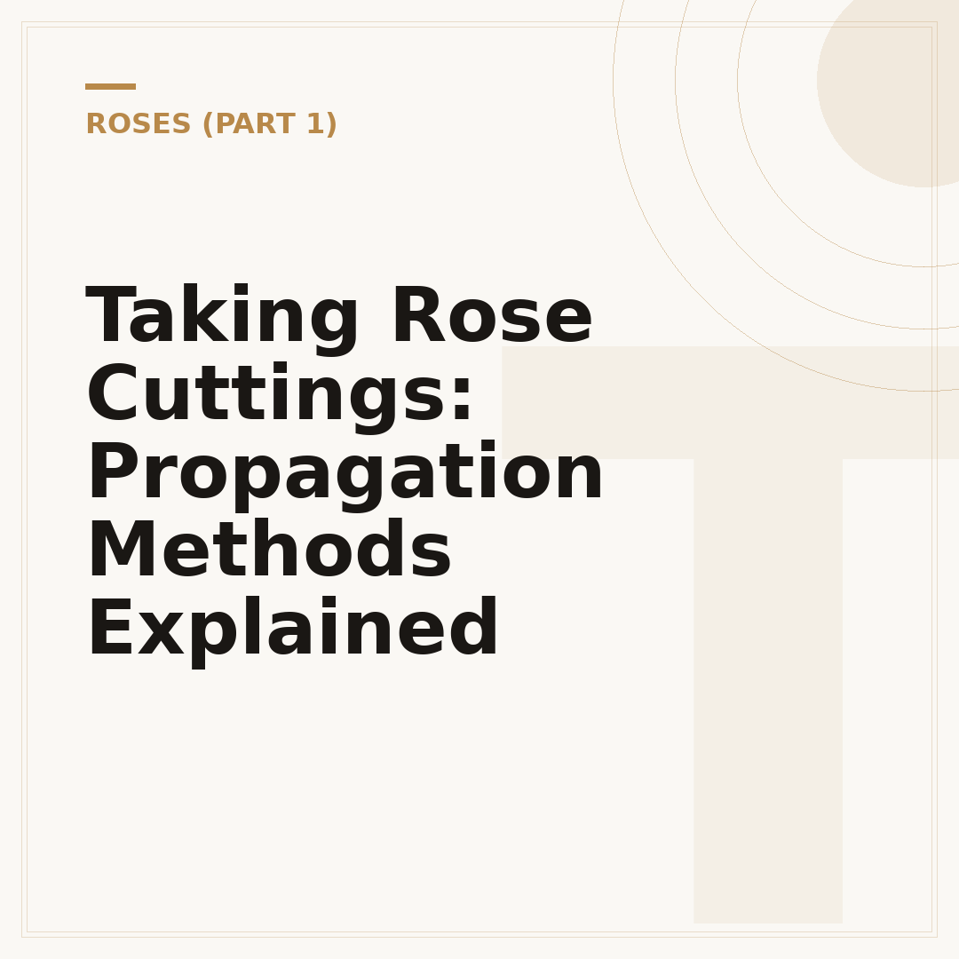 Taking Rose Cuttings: Propagation Methods Explained