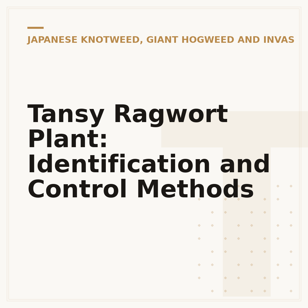 Tansy Ragwort Plant: Identification and Control Methods