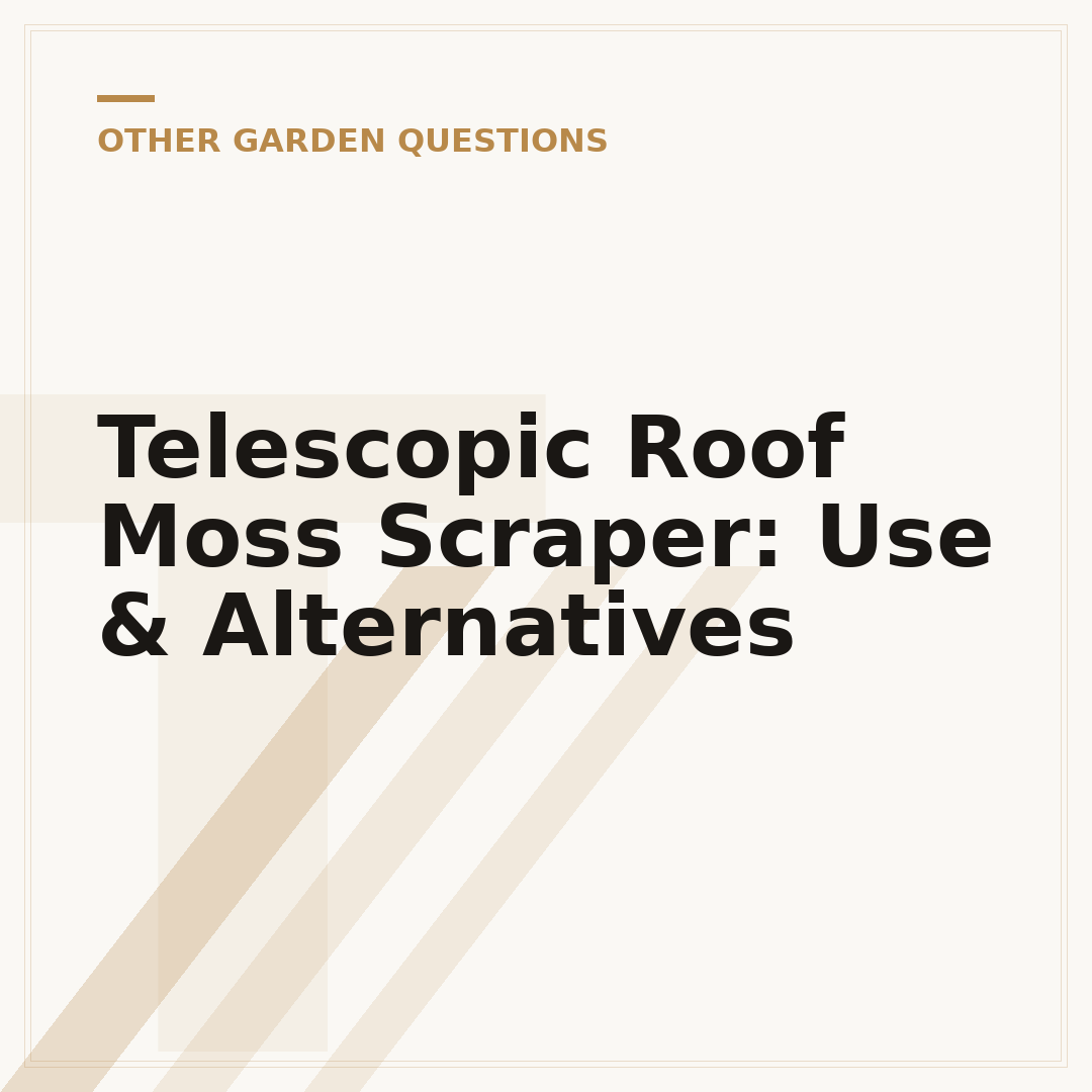 Telescopic Roof Moss Scraper: Use & Alternatives