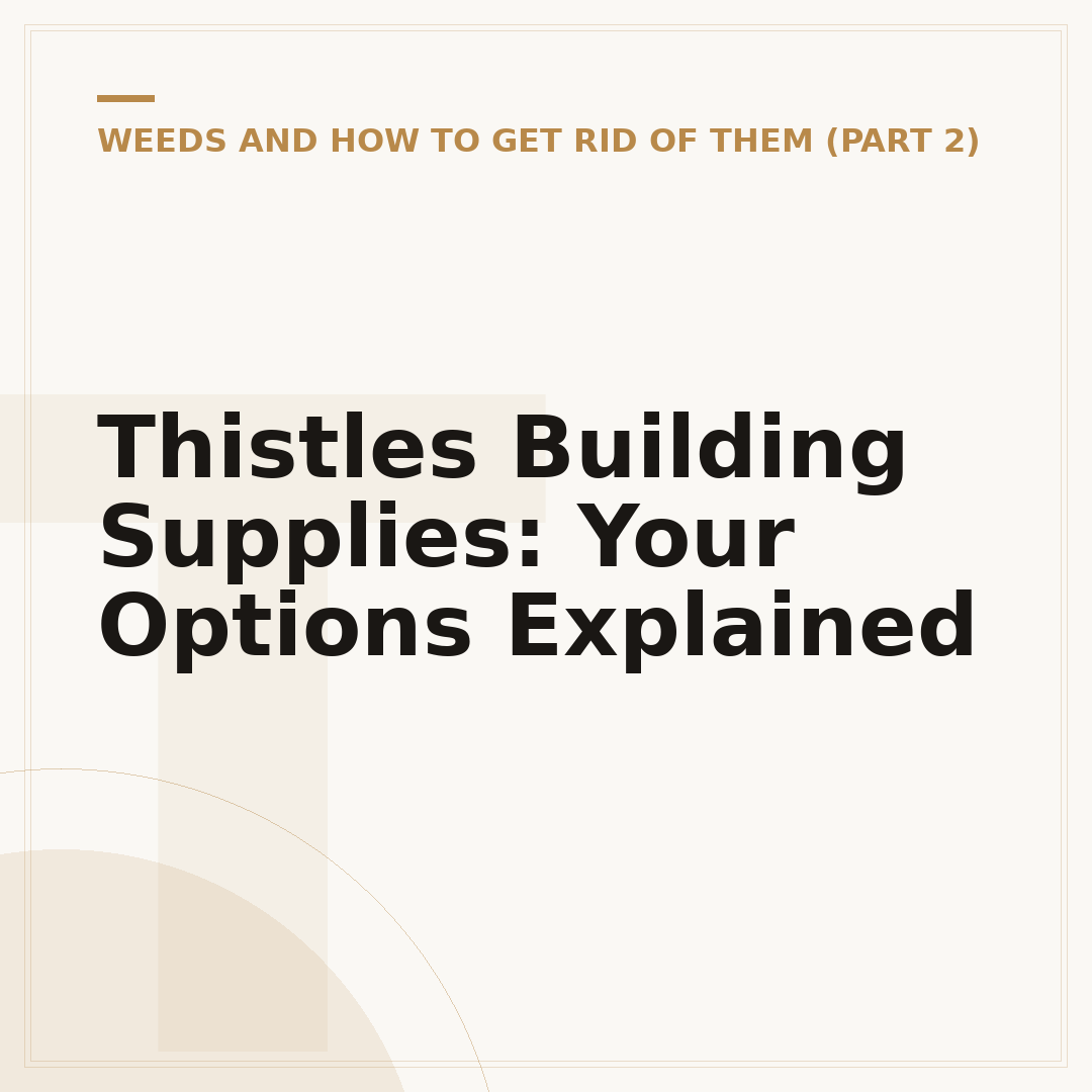 Thistles Building Supplies: Your Options Explained