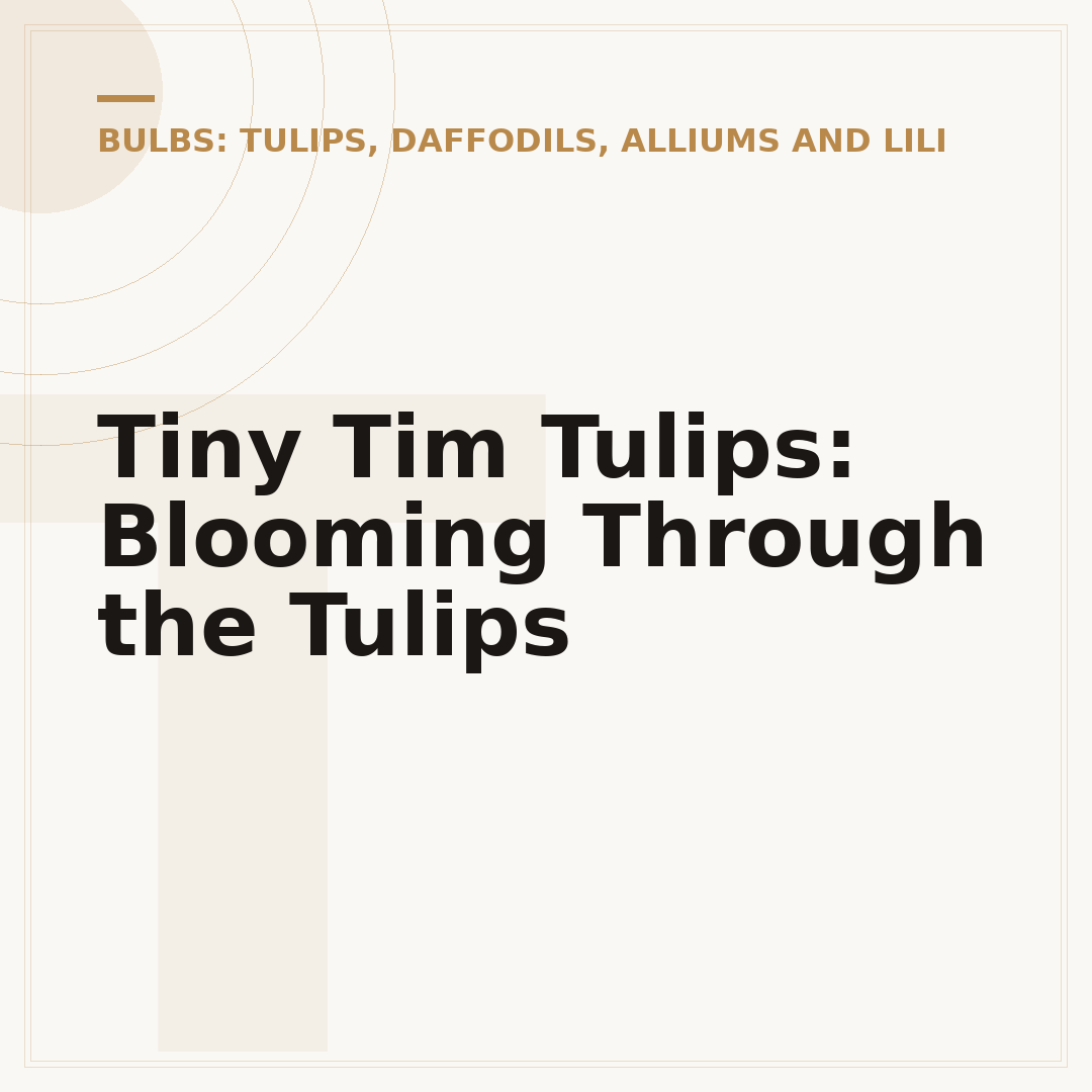 Tiny Tim Tulips: Blooming Through the Tulips