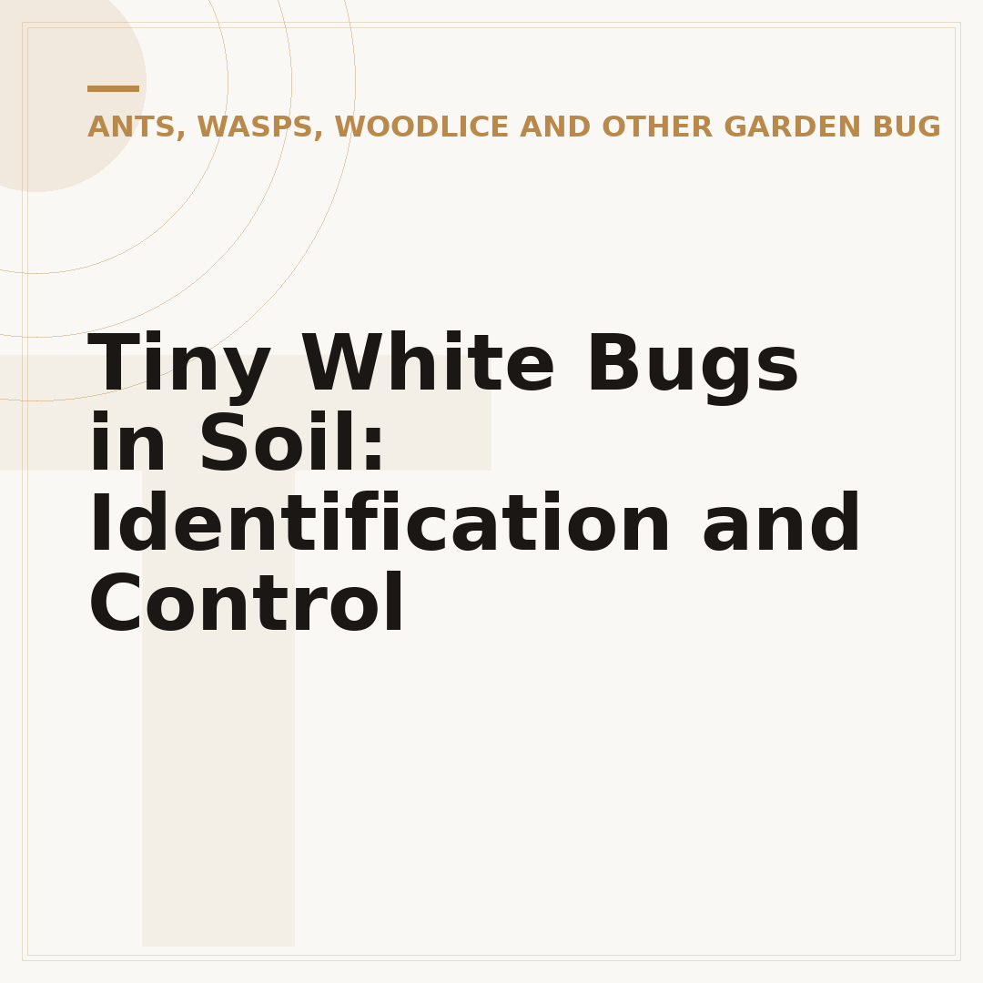 Tiny White Bugs in Soil: Identification and Control