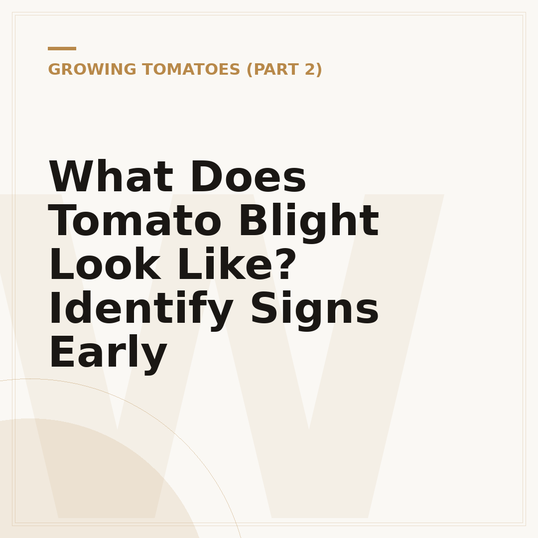 What Does Tomato Blight Look Like? Identify Signs Early
