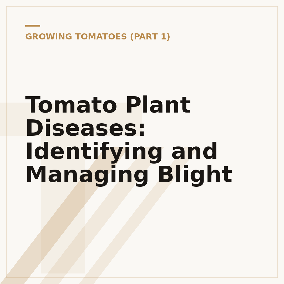 Tomato Plant Diseases: Identifying and Managing Blight