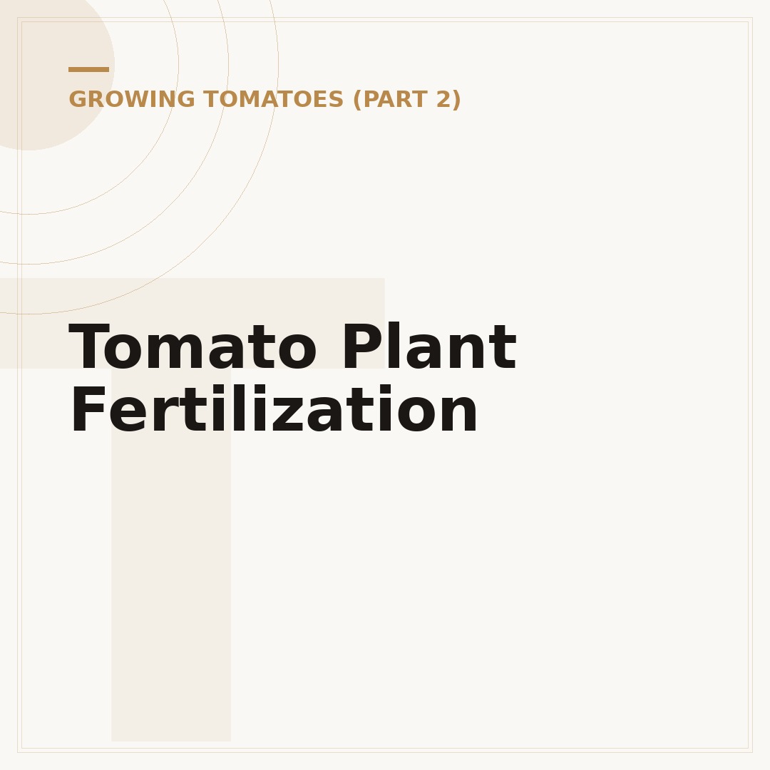 Tomato Plant Fertilization
