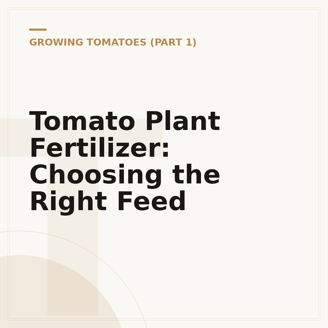 Tomato Plant Fertilizer: Choosing the Right Feed