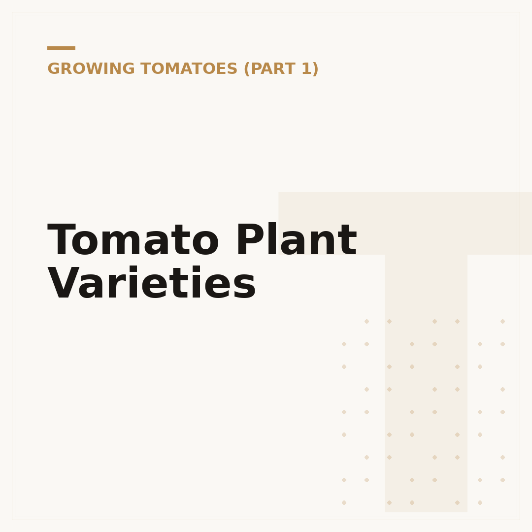 Tomato Plant Varieties