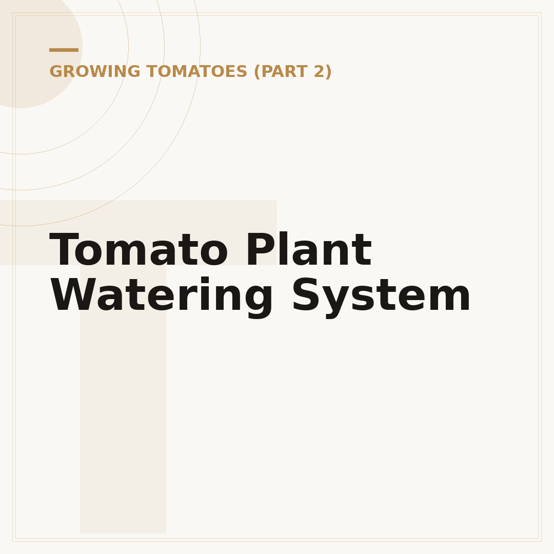 Tomato Plant Watering System