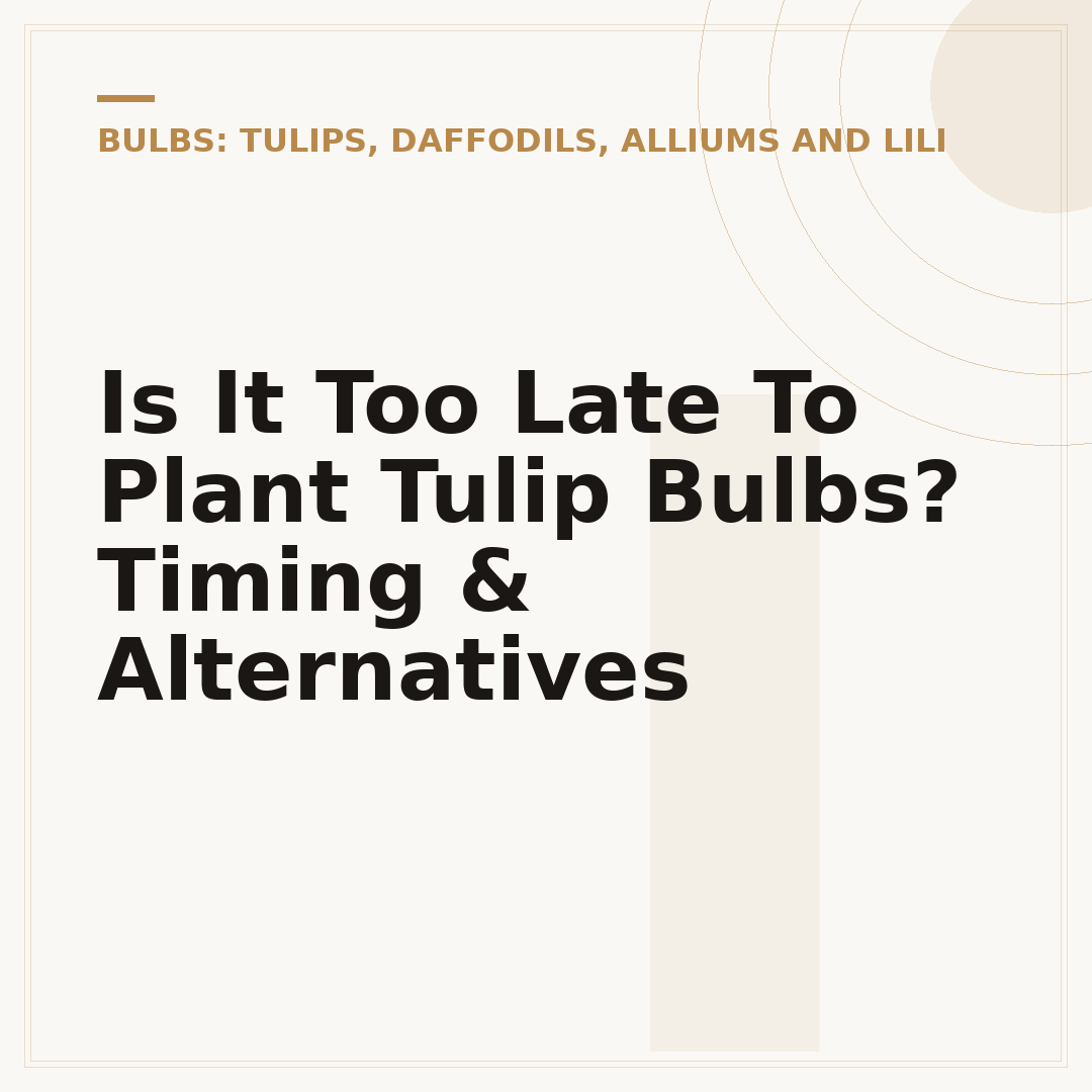 Is It Too Late To Plant Tulip Bulbs? Timing & Alternatives