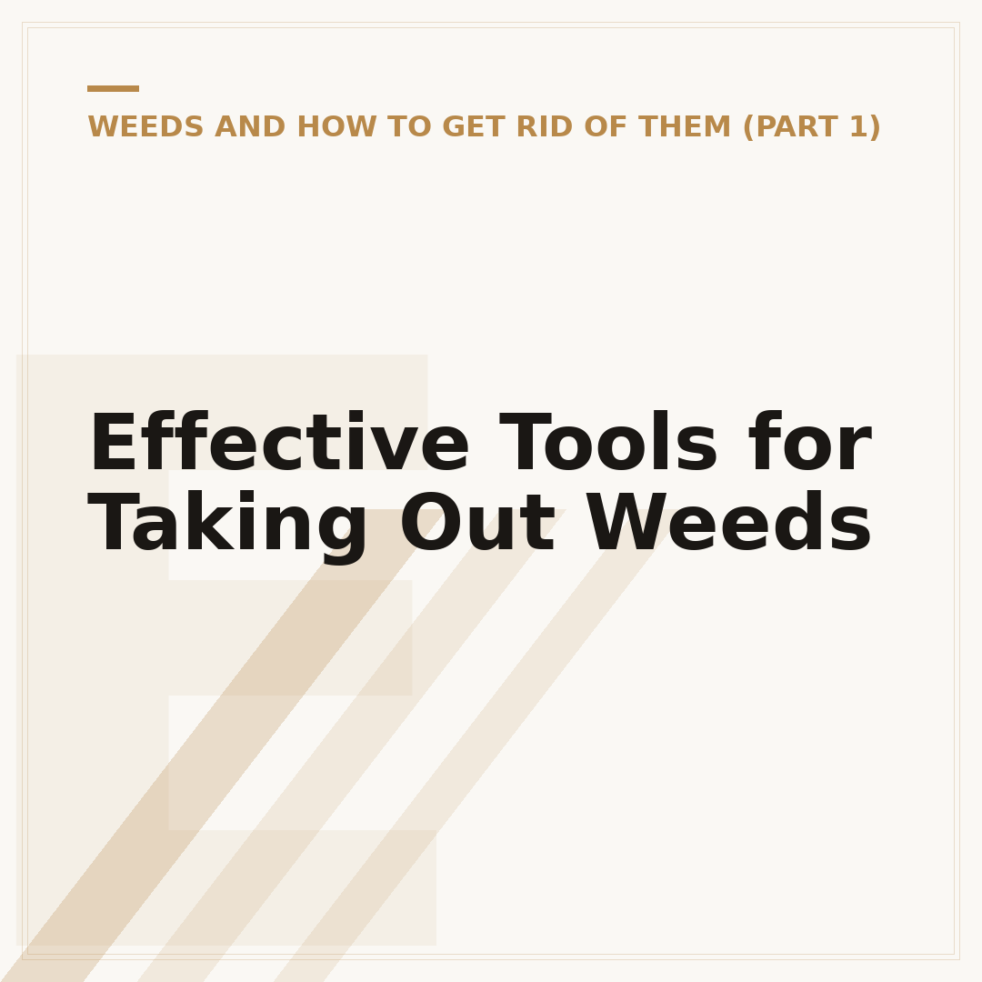 Effective Tools for Taking Out Weeds