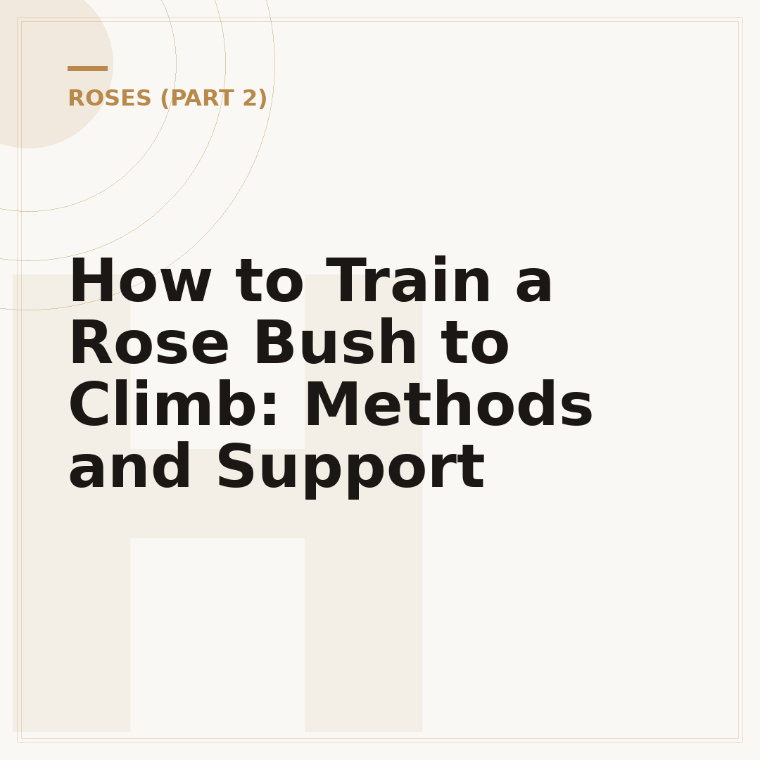 How to Train a Rose Bush to Climb: Methods and Support