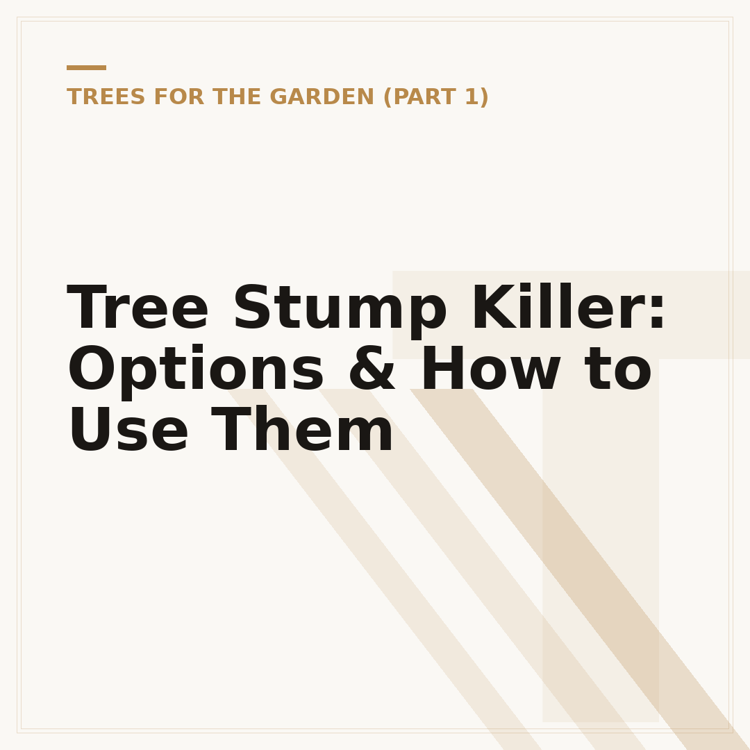 Tree Stump Killer: Options & How to Use Them