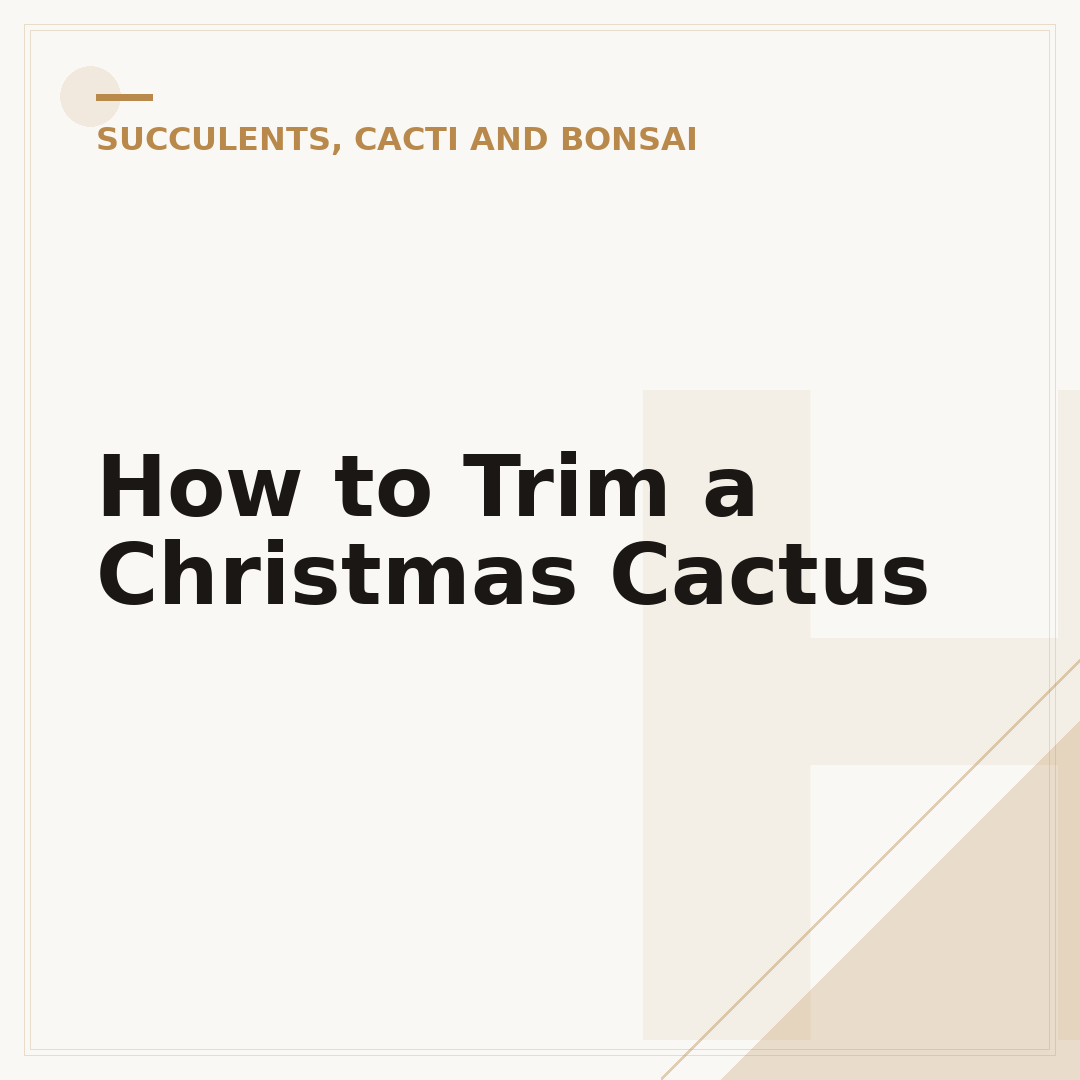 How to Trim a Christmas Cactus