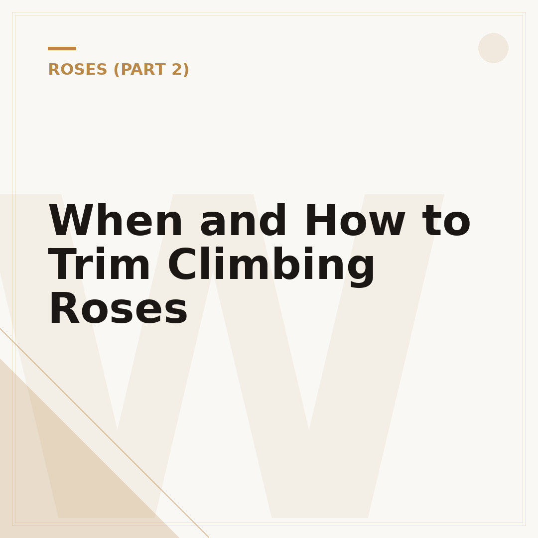 When and How to Trim Climbing Roses