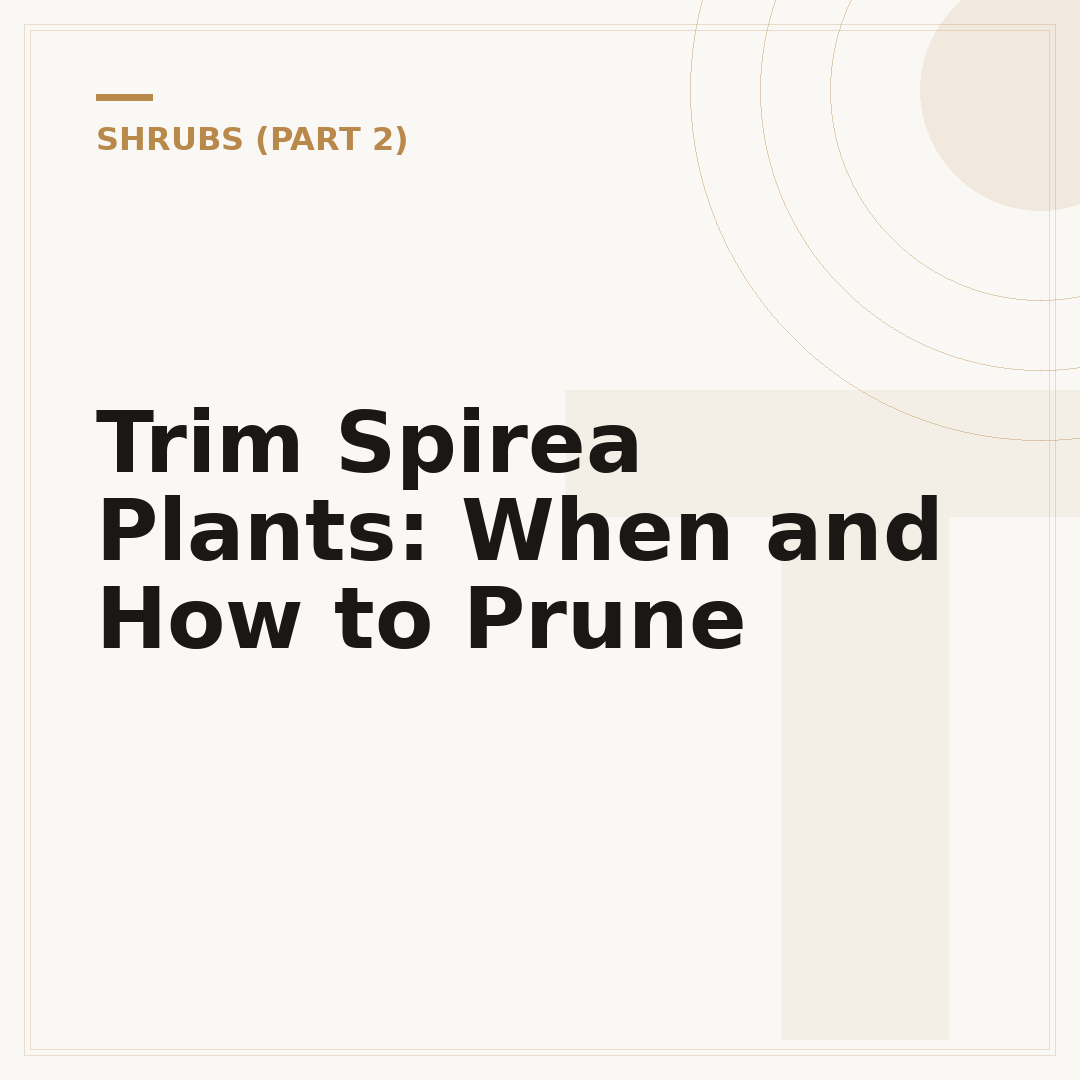 Trim Spirea Plants: When and How to Prune