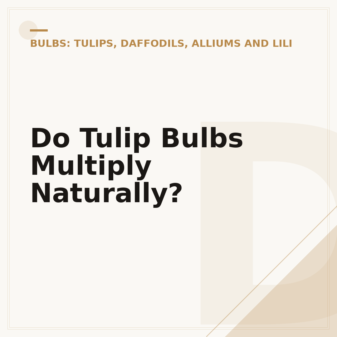 Do Tulip Bulbs Multiply Naturally?