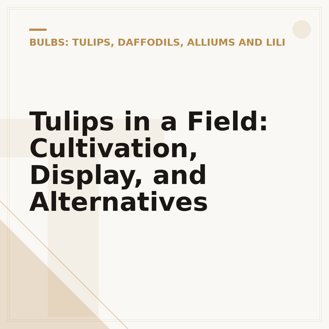 Tulips in a Field: Cultivation, Display, and Alternatives