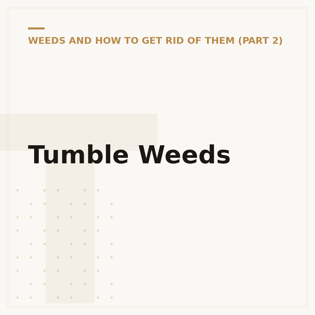 Tumble Weeds