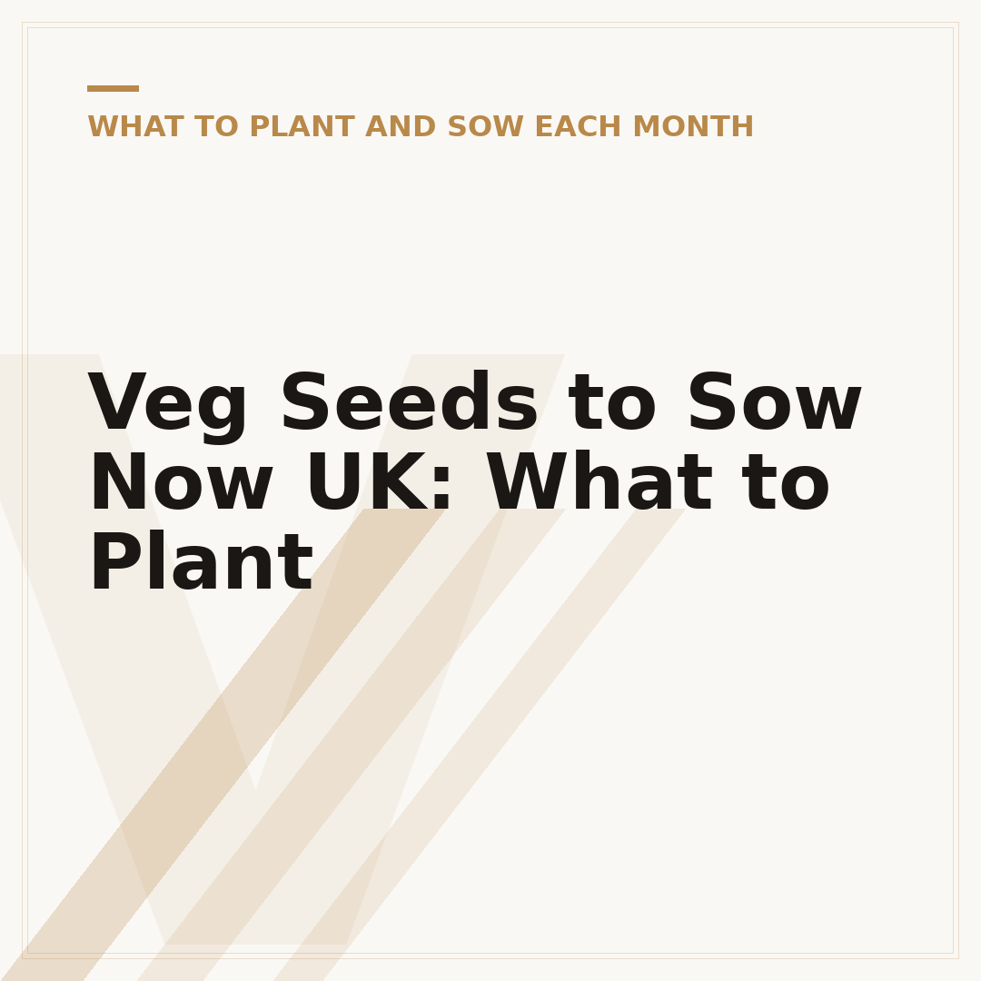 Veg Seeds to Sow Now UK: What to Plant